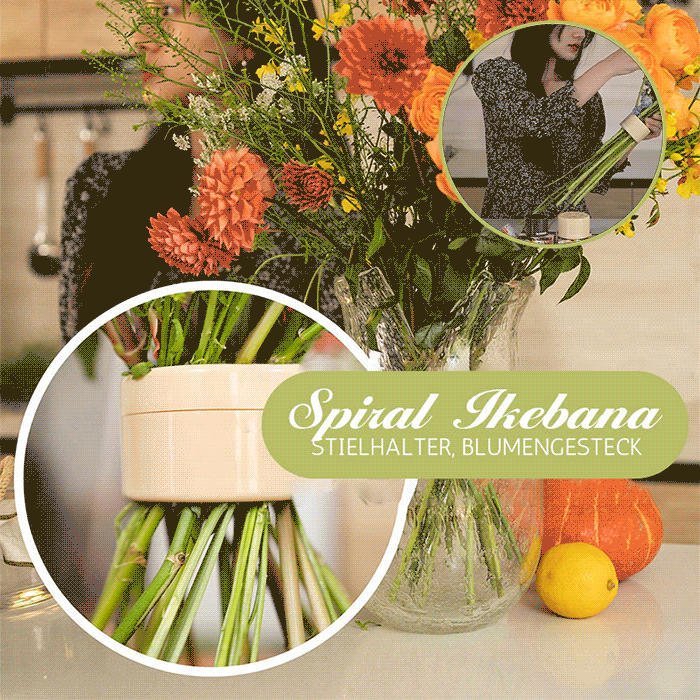 🎄Valentinsdagstilbud - 49 % RABATT🎄Spiral Ikebana-stilkholder