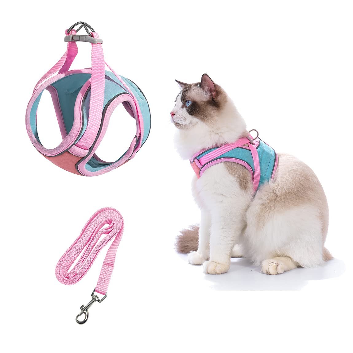 🎁Kattesele Og Bånd