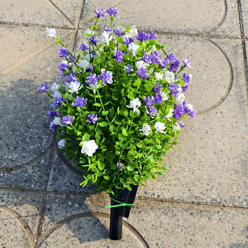 🌸Kameliaens tidløse skjønnhet – både innendørs og utendørs! 🌿🌺