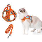 🎁Kattesele Og Bånd